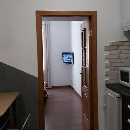 Apartment On Vienietsianova 13 Lviv