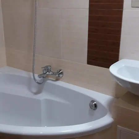 דירה On Vienietsianova 13 לבוב